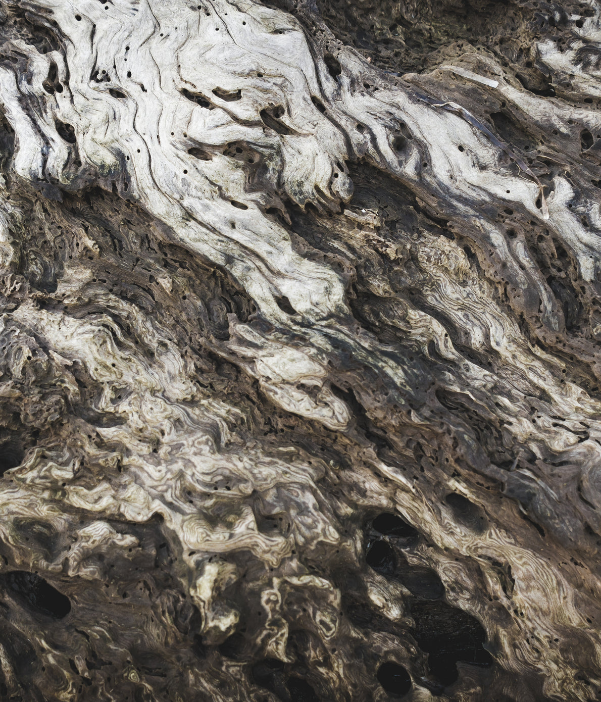 natural elements